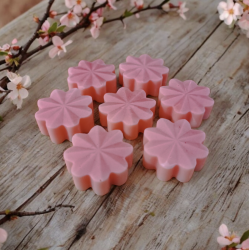 Trésor de Fée Bubblegum