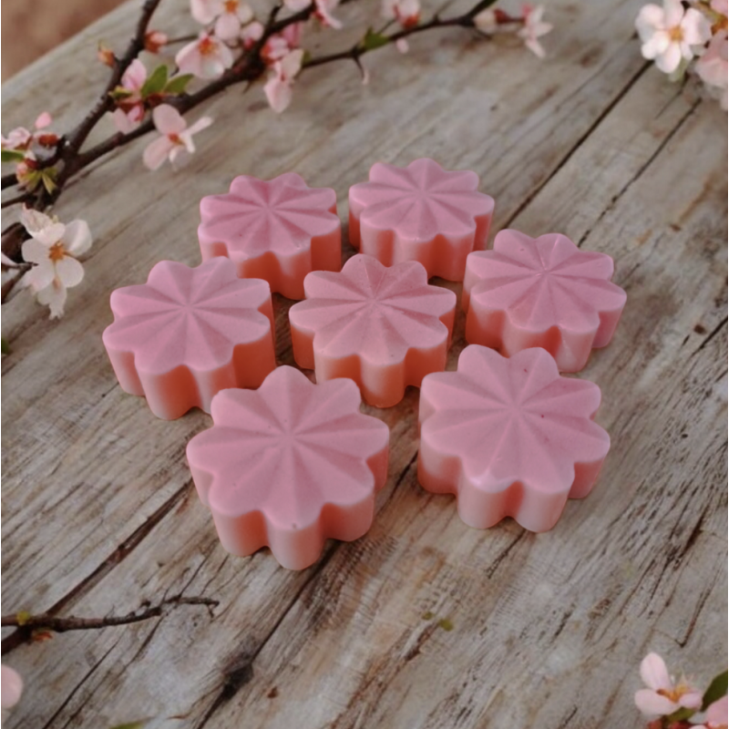 Trésor de Fée Bubblegum