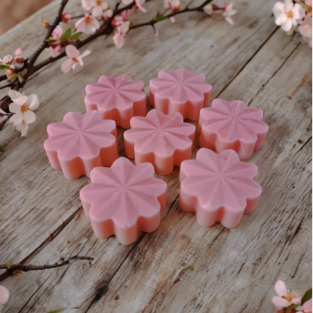 Trésor de Fée Bubblegum