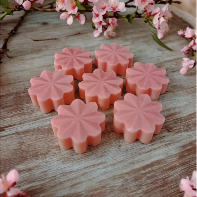 Trésor de Fée Fraise des bois