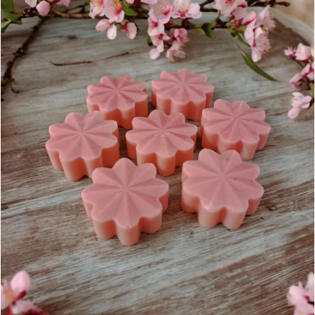 Trésor de Fée Fraise des bois