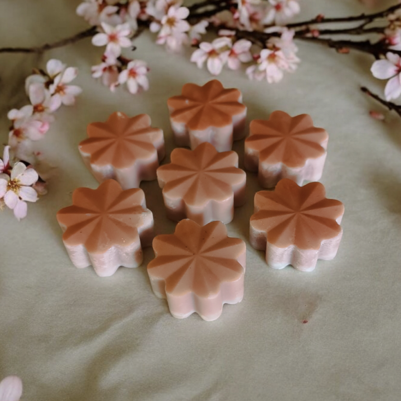 Trésor de Fée Cookie au chocolat