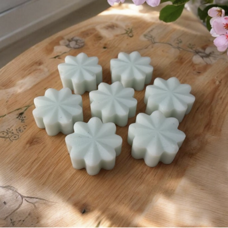 Trésor de Fée Monoï