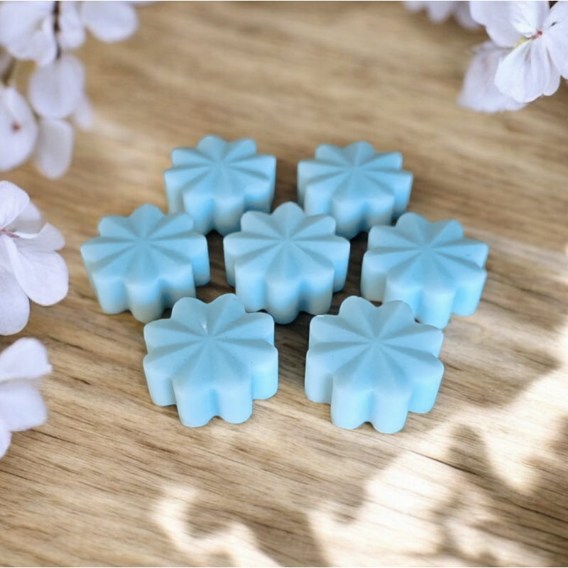 Trésor de Fée Musc