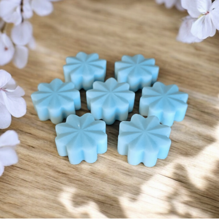 Trésor de Fée Musc