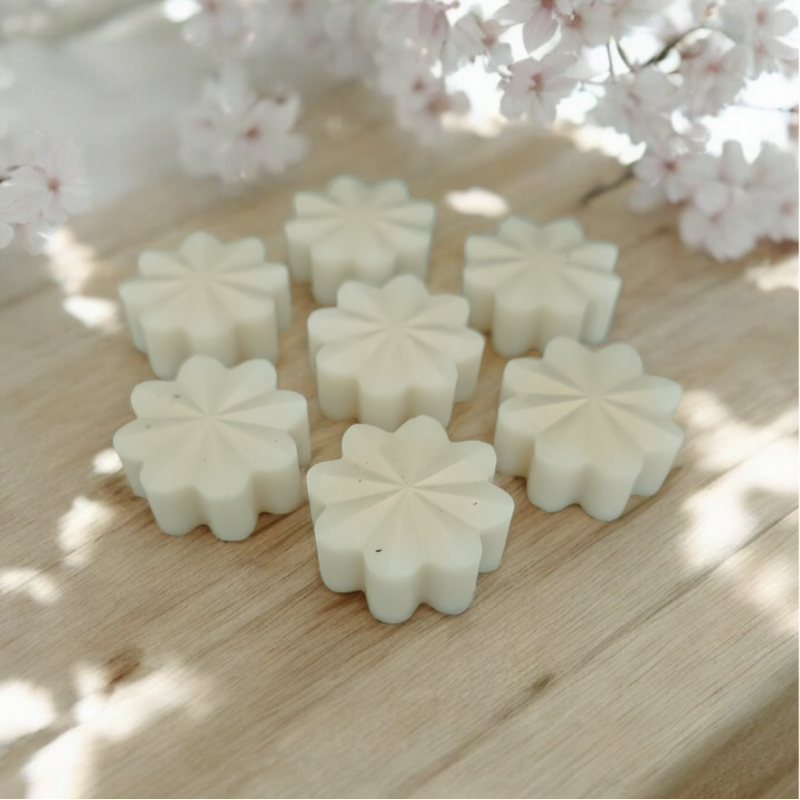 Trésor de Fée Oriental et Encens