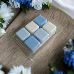 Fondant tablette senteur Embruns du Pyla