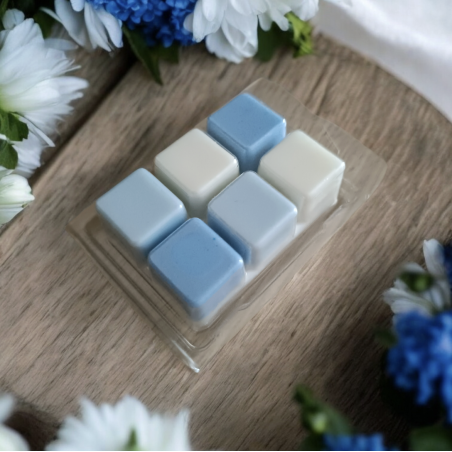 Fondant tablette senteur Embruns du Pyla