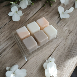 Fondant Tablette Orange épicée